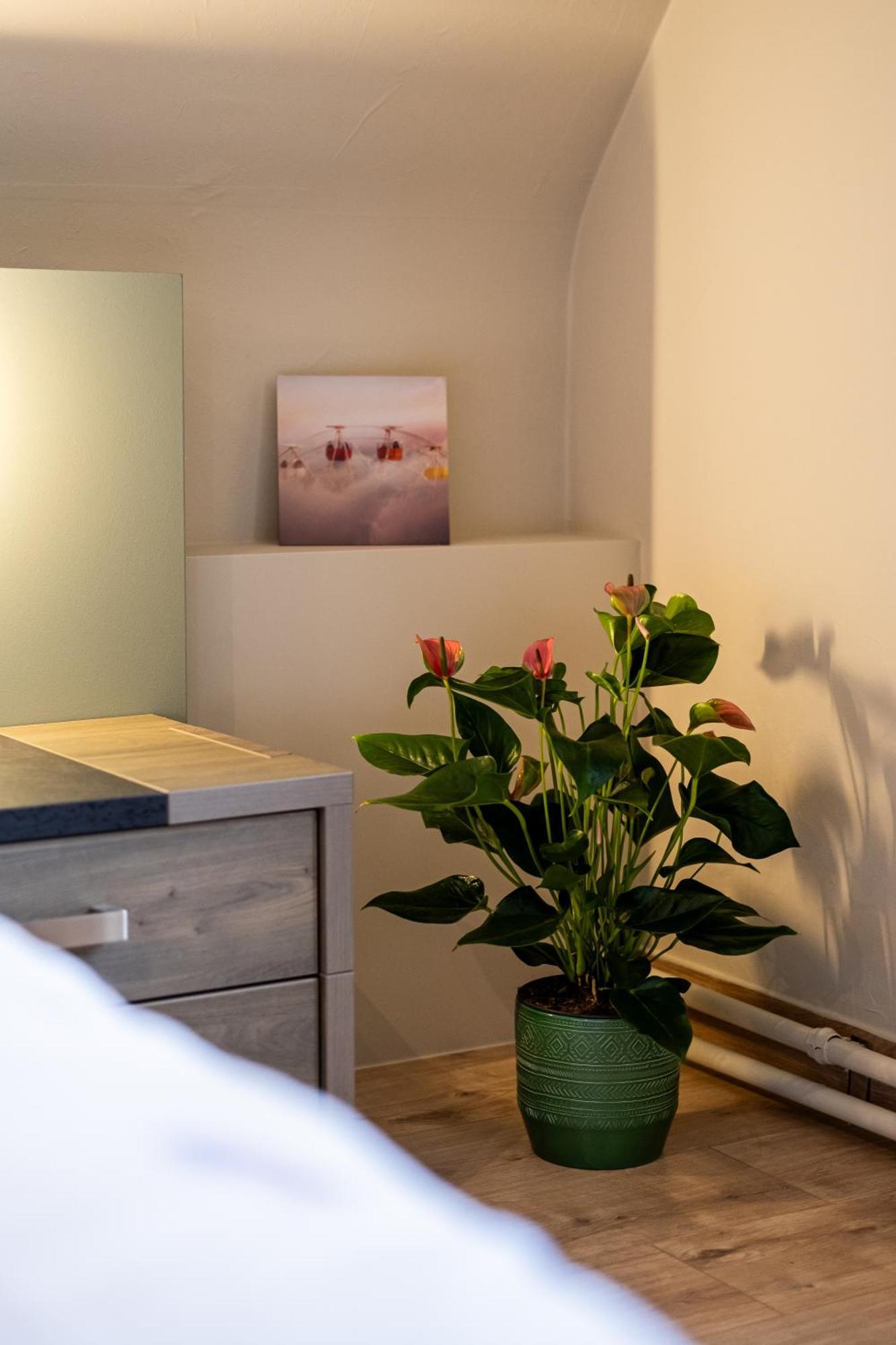 Appartement Sejour14 -- - Volledige 1e Verdiep *